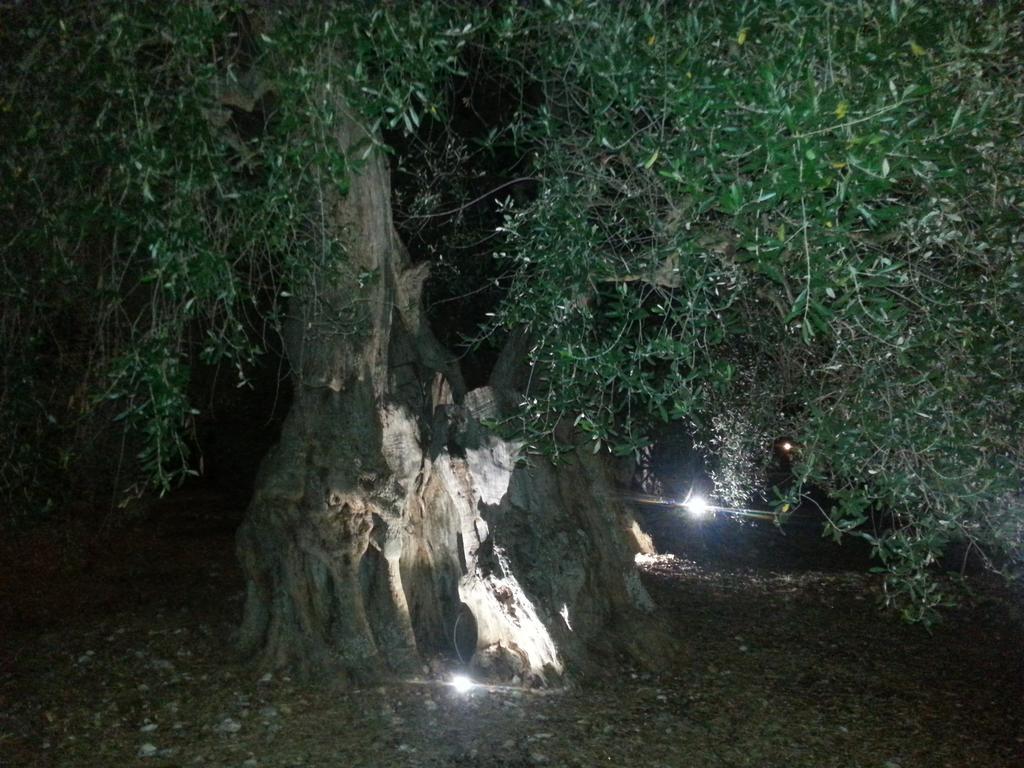 La Piana Di Calena Villa Peschici Exterior foto