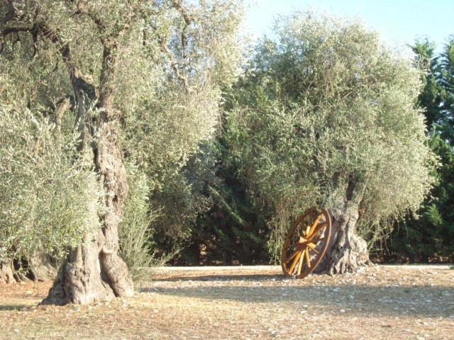 La Piana Di Calena Villa Peschici Cameră foto